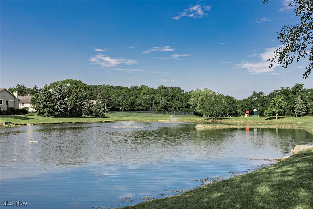 Painesville, Ohio 44077, United States, 3 Bedrooms Bedrooms, ,3 BathroomsBathrooms,Residential,Active,160984