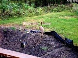 Grandview - Residential