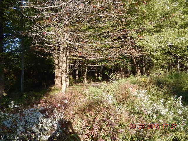 Connecticut Western Reserve - Land