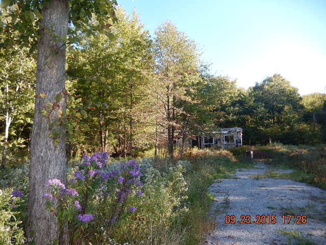 Connecticut Western Reserve - Land