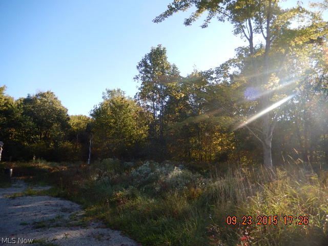 Connecticut Western Reserve - Land