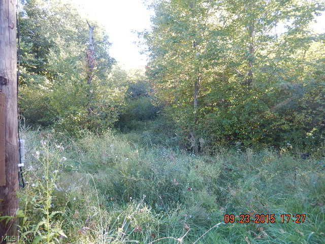 Connecticut Western Reserve - Land