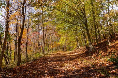 Tiny photo for Plum Road, Kimbolton, OH 43749 (MLS # 5190071)