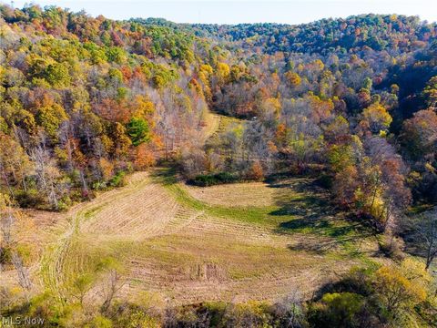 Tiny photo for Plum Road, Kimbolton, OH 43749 (MLS # 5190071)