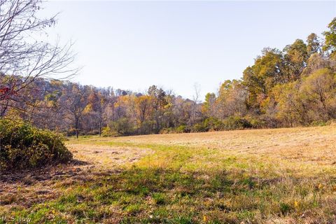 Tiny photo for Plum Road, Kimbolton, OH 43749 (MLS # 5190071)