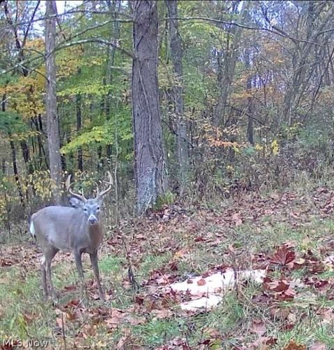 Tiny photo for Plum Road, Kimbolton, OH 43749 (MLS # 5190071)