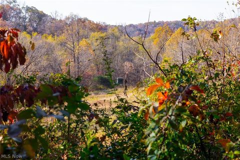 Tiny photo for Plum Road, Kimbolton, OH 43749 (MLS # 5190071)