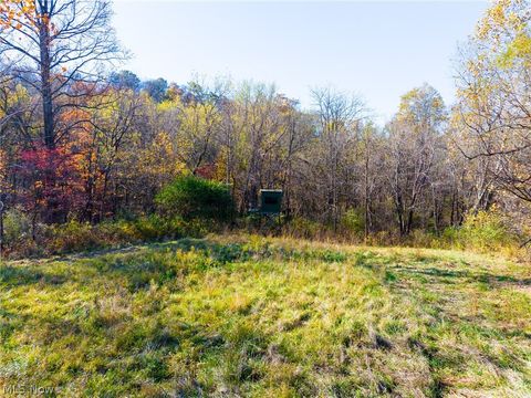 Tiny photo for Plum Road, Kimbolton, OH 43749 (MLS # 5190071)