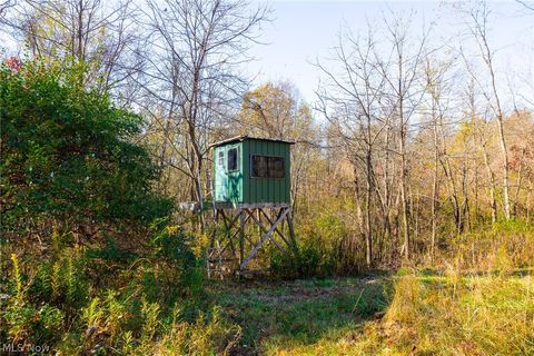 Tiny photo for Plum Road, Kimbolton, OH 43749 (MLS # 5190071)