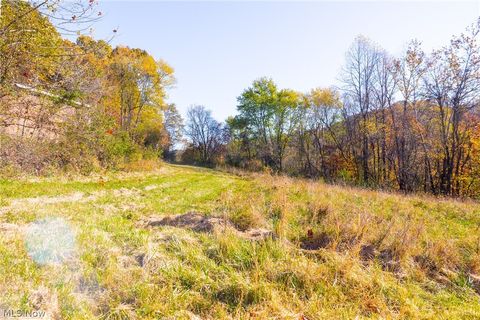 Tiny photo for Plum Road, Kimbolton, OH 43749 (MLS # 5190071)