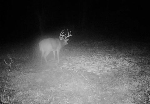 Tiny photo for Plum Road, Kimbolton, OH 43749 (MLS # 5190071)