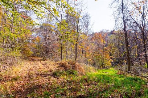 Tiny photo for Plum Road, Kimbolton, OH 43749 (MLS # 5190071)