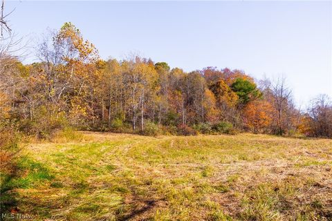 Tiny photo for Plum Road, Kimbolton, OH 43749 (MLS # 5190071)