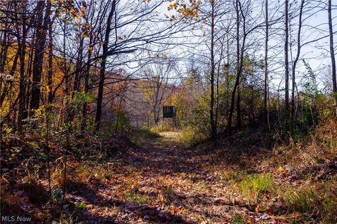 Tiny photo for Plum Road, Kimbolton, OH 43749 (MLS # 5190071)