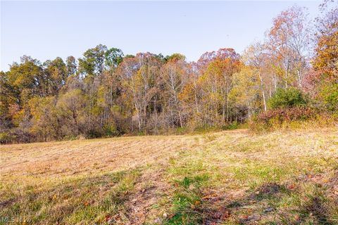 Tiny photo for Plum Road, Kimbolton, OH 43749 (MLS # 5190071)