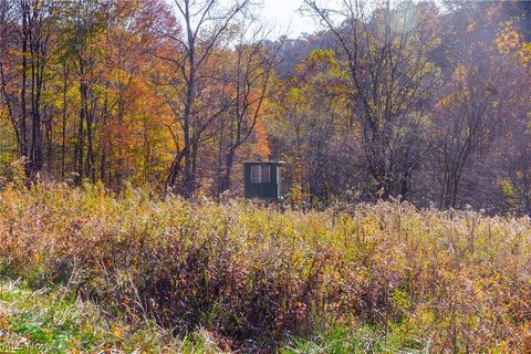 Tiny photo for Plum Road, Kimbolton, OH 43749 (MLS # 5190071)