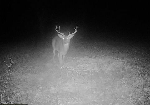 Tiny photo for Plum Road, Kimbolton, OH 43749 (MLS # 5190071)