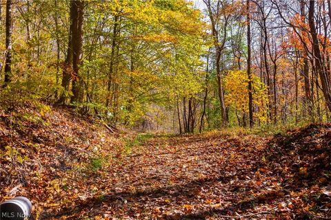 Tiny photo for Plum Road, Kimbolton, OH 43749 (MLS # 5190071)