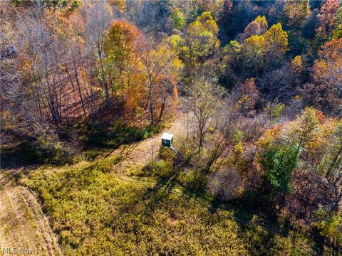 Tiny photo for Plum Road, Kimbolton, OH 43749 (MLS # 5190071)