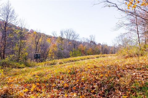 Tiny photo for Plum Road, Kimbolton, OH 43749 (MLS # 5190071)