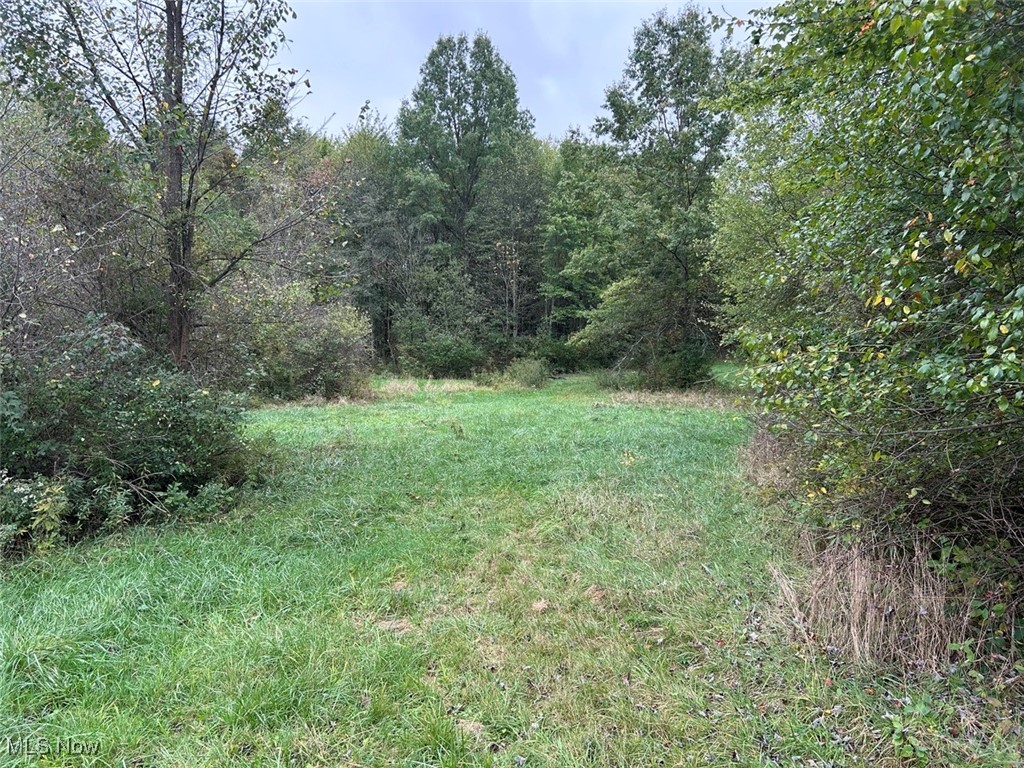 7845 Brockway Sharon Road, Burghill, Ohio image 9