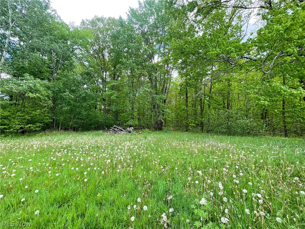 Mcdonald Allotment 01 - Residential