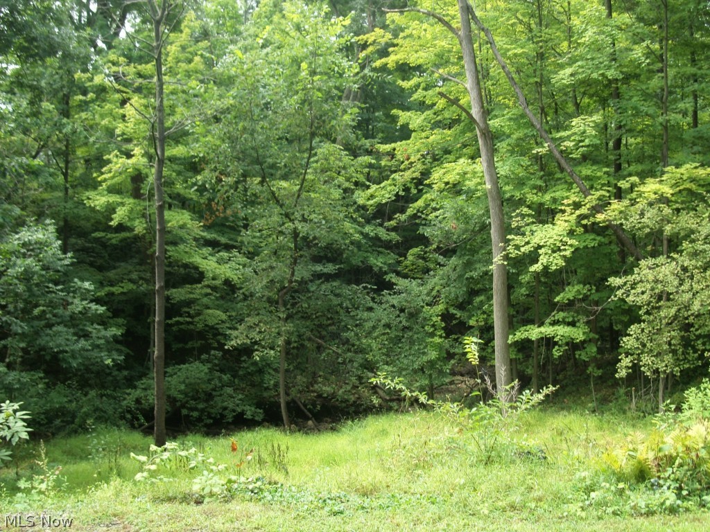 Middleburg Sec 18 - Residential