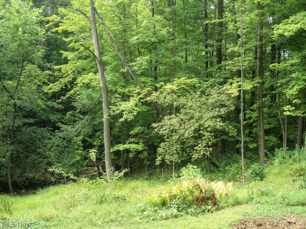 Middleburg Sec 18 - Residential