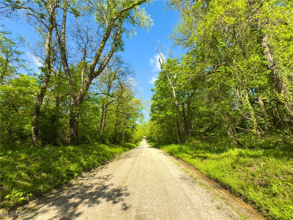 Morganville Road, Malta, Ohio image 22