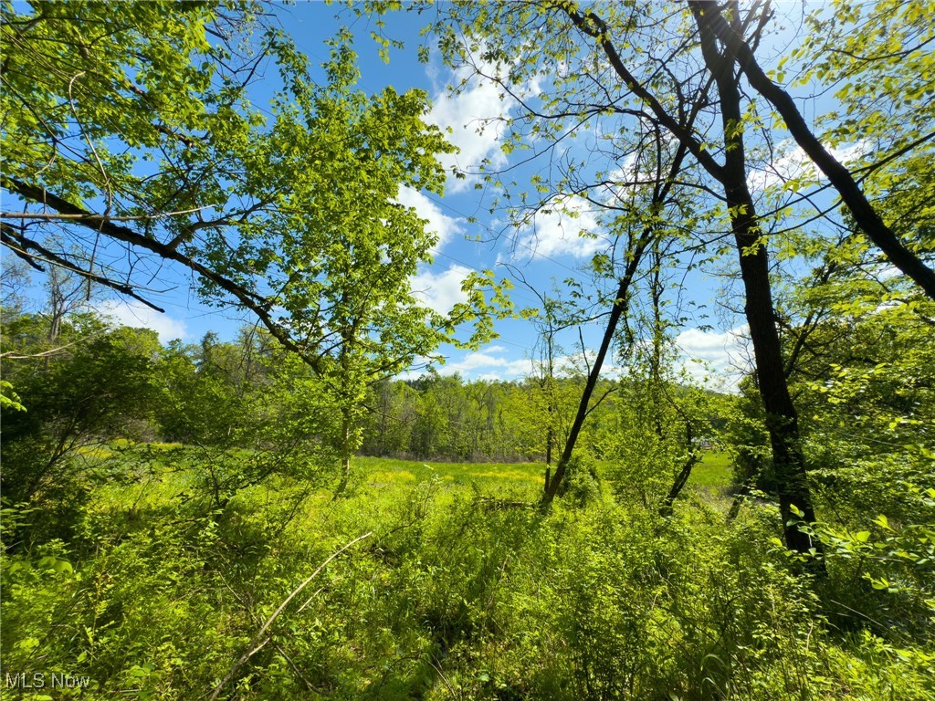 Morganville Road, Malta, Ohio image 18