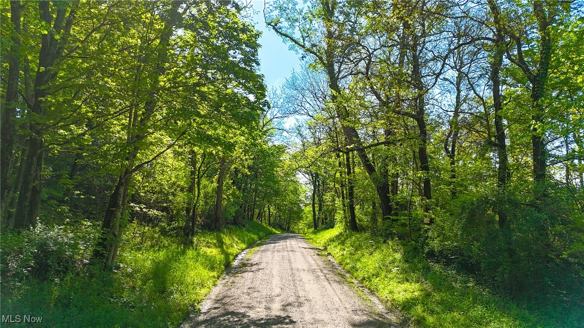 Morganville Road, Malta, Ohio image 15