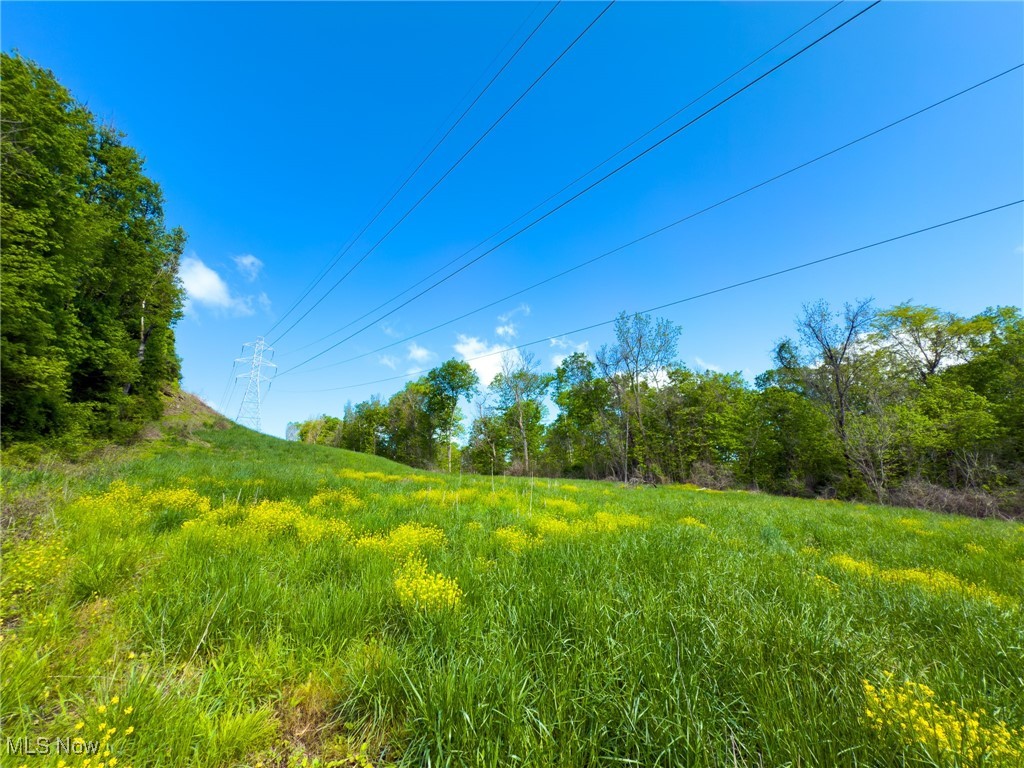 Morganville Road, Malta, Ohio image 19
