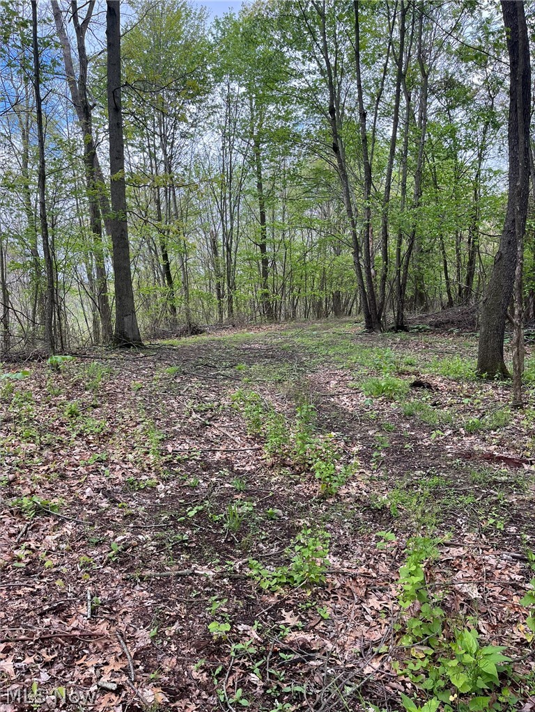 Sandy Ridge Road