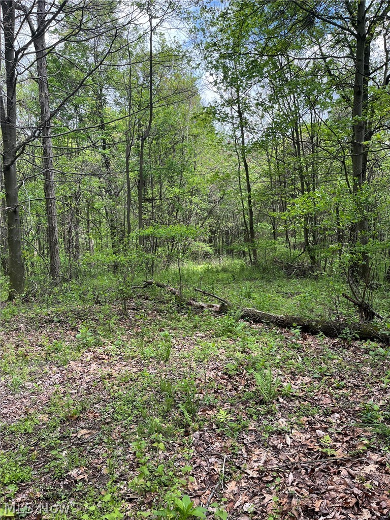 Sandy Ridge Road
