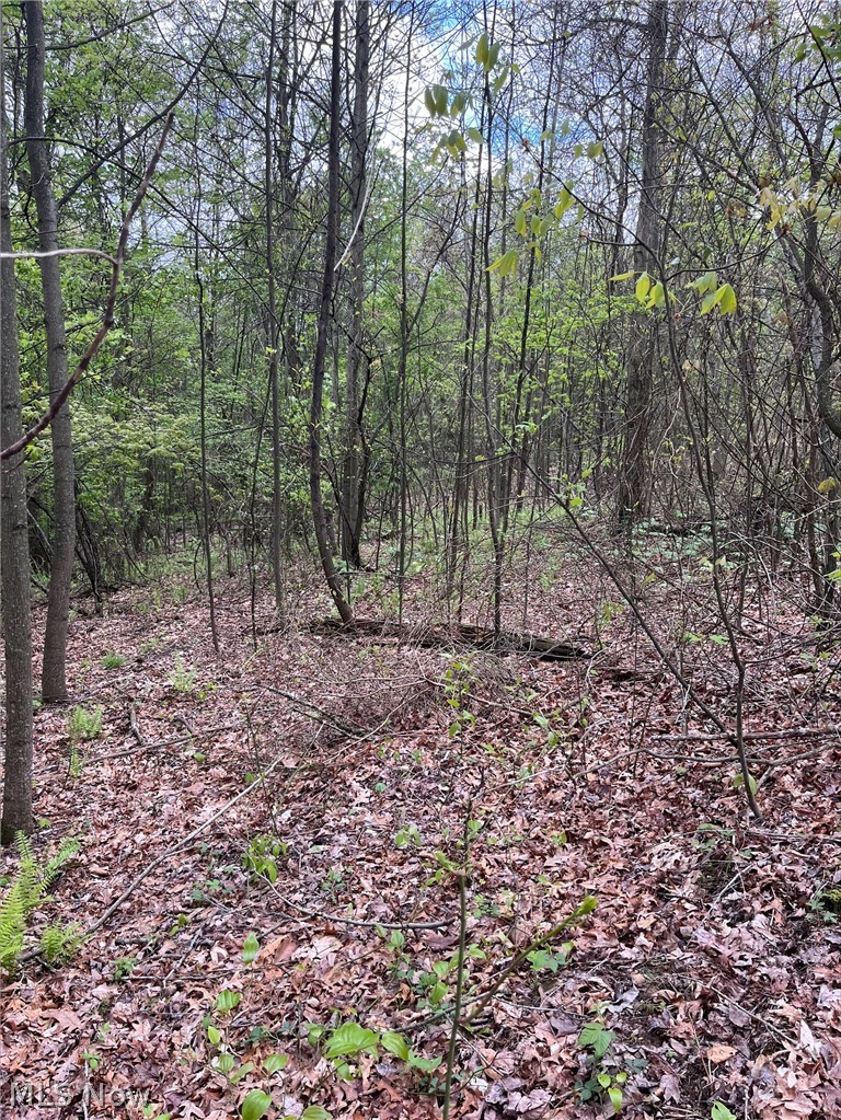 Sandy Ridge Road