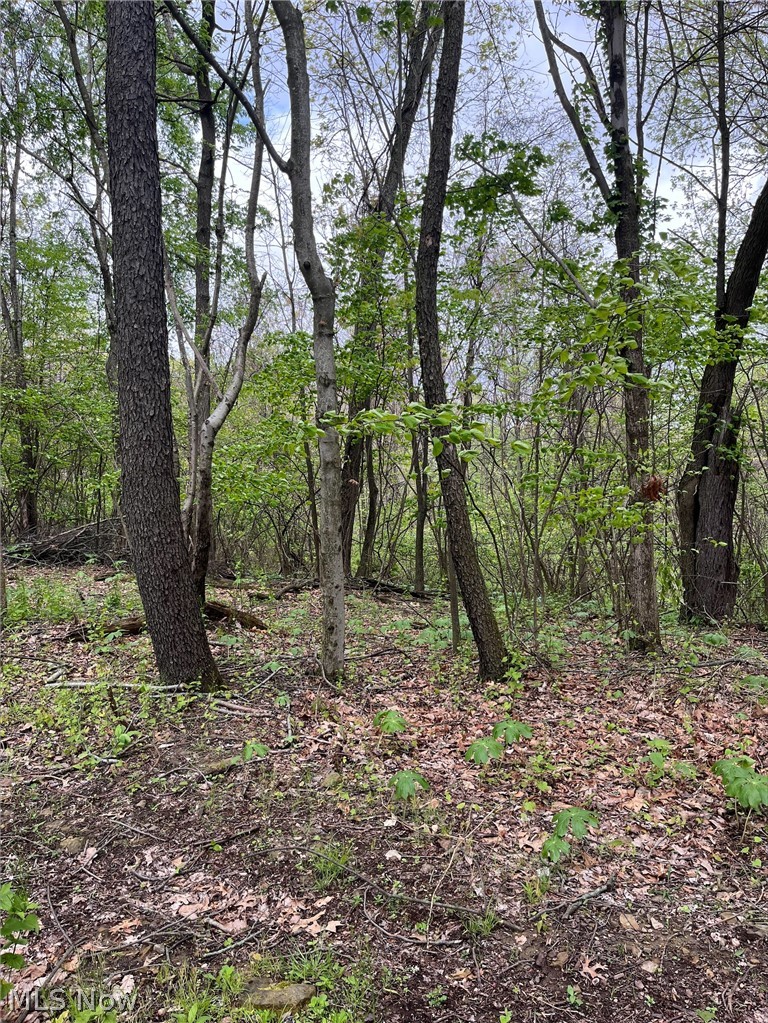 Sandy Ridge Road