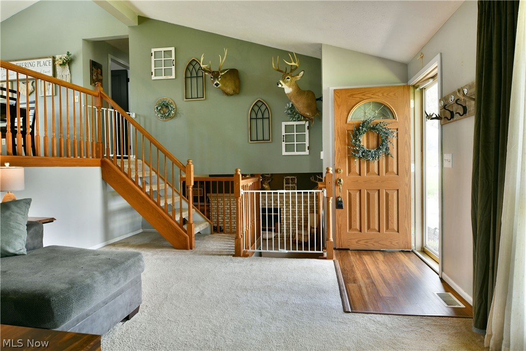 Chapel Hill - Residential