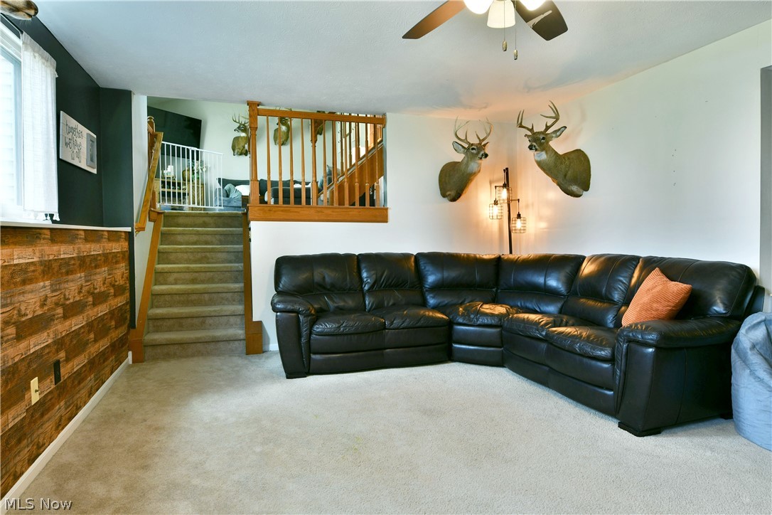 Chapel Hill - Residential