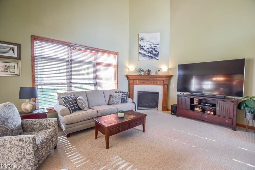 Shepherds Gate Allotment 06 - Residential