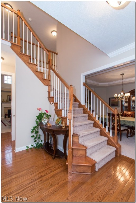 Highland Glens - Residential