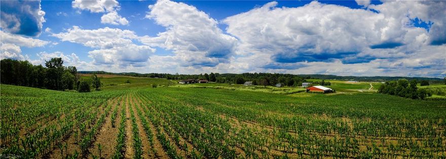 This is a beautiful 88 acre farm between Newark and Zanesville. Excellent farming, recreational and hunting potential. The property includes an older post frame building designed for livestock confinement. Also, the property includes a pond, beautifully wooded areas...excellent building sites. If you are in the market for a solid investment in American soil come inspect this property at your convenience and risk.