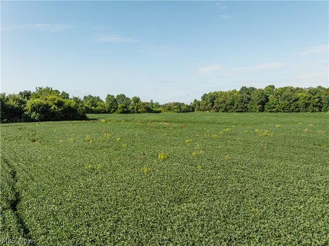 Vacant Land For Sale - Perry Road<br/> Centerburg, OH 43011