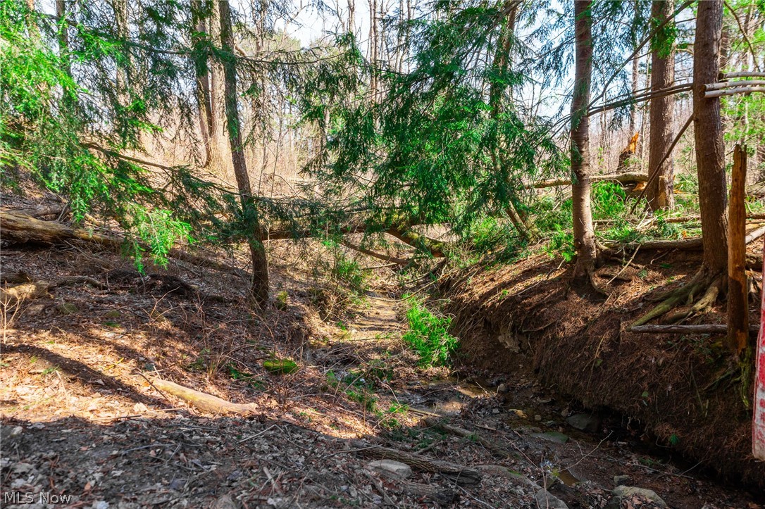 Hilltop Allotment - Residential