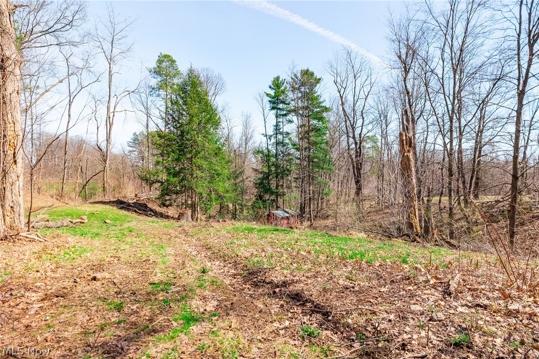 Hilltop Allotment - Residential