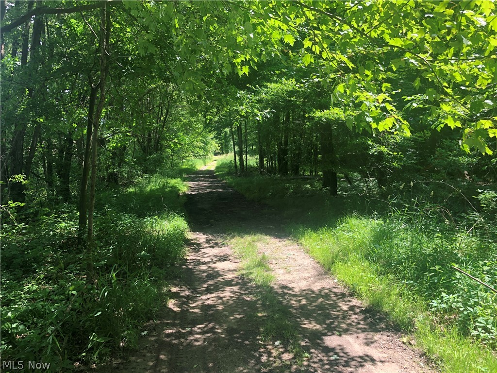 GREAT opportunity to own your private piece of paradise in Brimfield Township! This 4.62 acre lot features a long drive that opens up to beautiful pond views. Natural gas and public water available at the street. Call today to schedule a walk through!