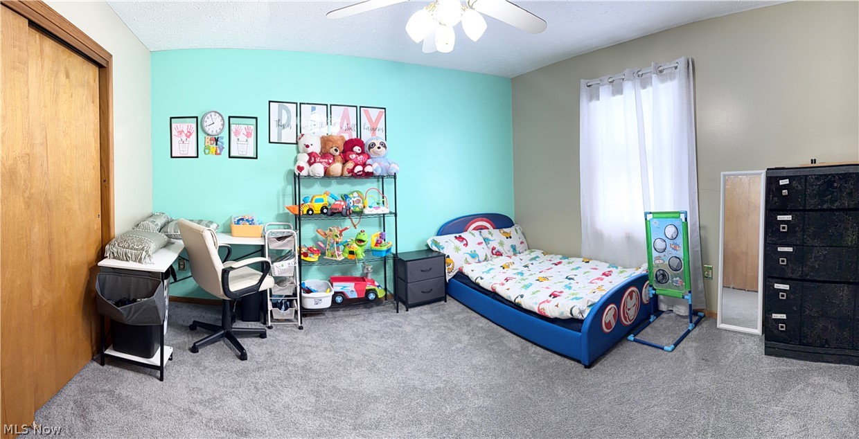 Canfield City - Residential