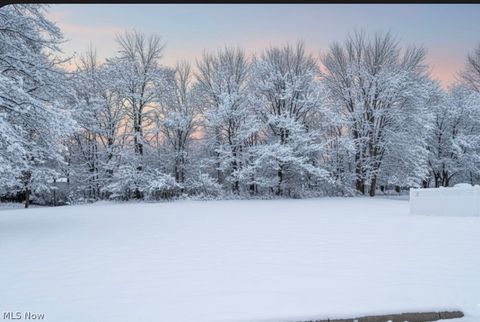 Tiny photo for 9 Willow Way, Canfield, OH 44406 (MLS # 5187768)