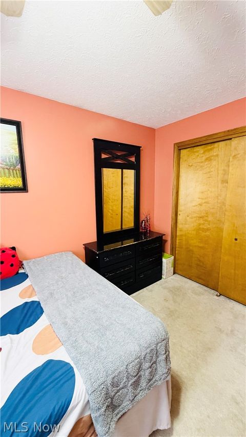 Tiny photo for 9 Willow Way, Canfield, OH 44406 (MLS # 5187768)