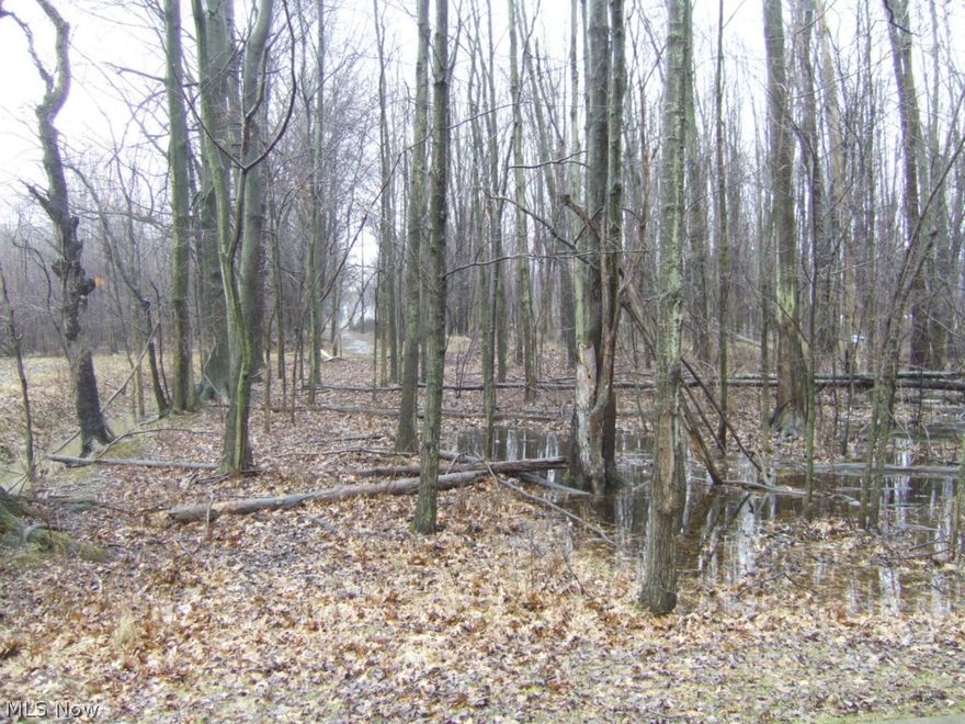 Country Setting with City Conveniences!  Beautiful wooded lots that have privacy and room to roam! Great retreat to live out your dreams after a long day...Retire to your workshop, Invite your friends to a bonfire, Relax with a good book by a meandering stream, Sip lemonade on a swing...the ideas are endless and you can build it here!!  Put your creative juices into gear and build your dream home on a dreamy setting today!