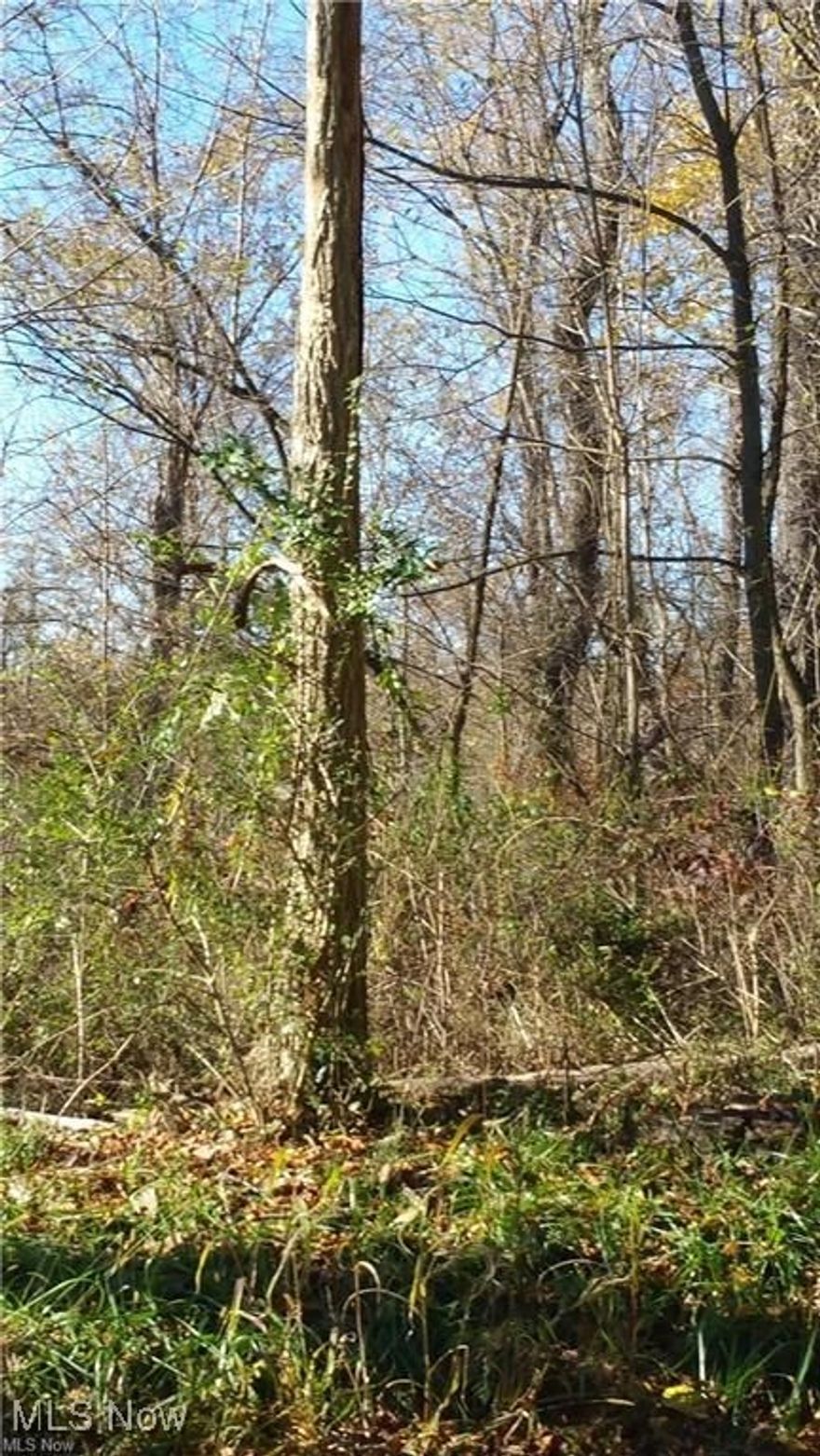 Nice 1.04 acre building lot located outside of city limits and next to the Rolling Hills Subdivision. This is a gorgeous relatively level wooded lot where you can build your dream home.